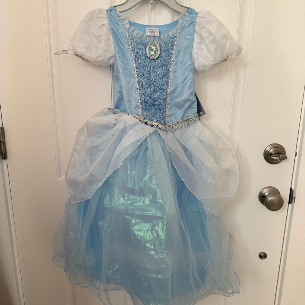 Blue Princess Kids Costume